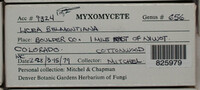 Image Associated With the Occurence